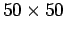 $50 \times 50$